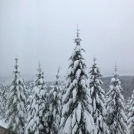 شقة Planinsko Blago Luxury Apartmans