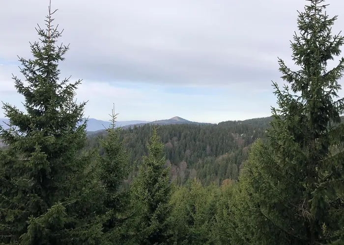 アパート Planinsko Blago Luxury Apartmans *