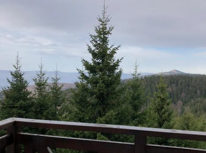 Planinsko Blago Luxury Apartmans アパート コパオニク