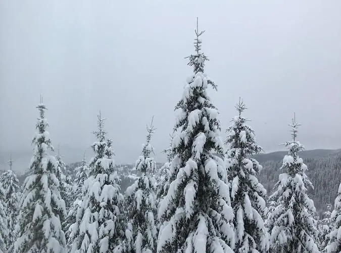 アパート Planinsko Blago Luxury Apartmans