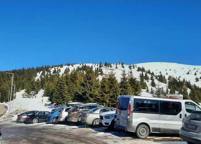 Planinsko Blago Luxury Apartmans コパオニク